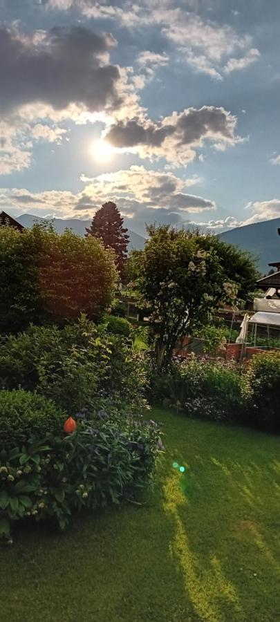 Apartment Auszeit Alpenblick Sommercard Hollersbach im Pinzgau Exterior foto